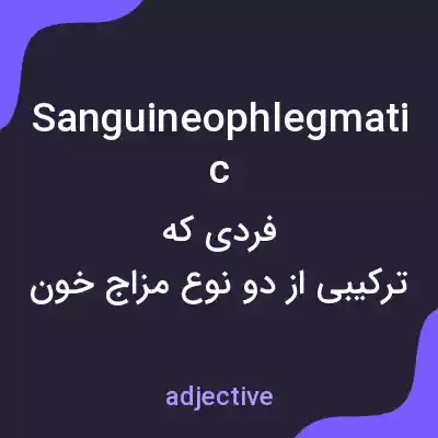 معنی sanguineophlegmatic به فارسی معنی sanguineophlegmatic به فارسی