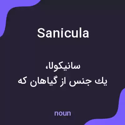 معنی sanicula به فارسی معنی sanicula به فارسی