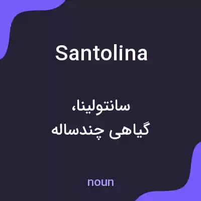 معنی santolina به فارسی معنی santolina به فارسی
