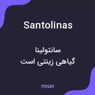 معنی santolinas به فارسی معنی santolinas به فارسی
