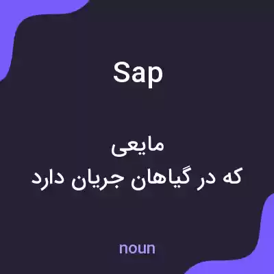 معنی sap به فارسی معنی sap به فارسی
