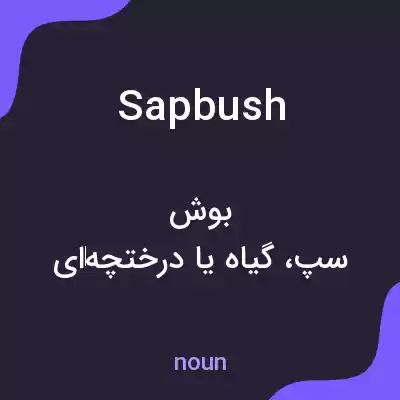 معنی sapbush به فارسی معنی sapbush به فارسی