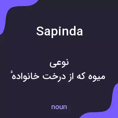 معنی sapinda به فارسی معنی sapinda به فارسی