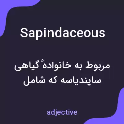 معنی sapindaceous به فارسی معنی sapindaceous به فارسی