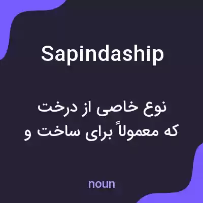 معنی sapindaship به فارسی معنی sapindaship به فارسی