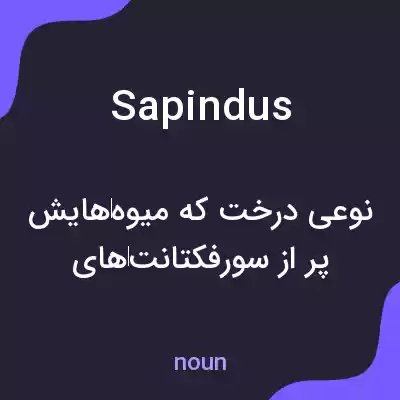 معنی sapindus به فارسی معنی sapindus به فارسی