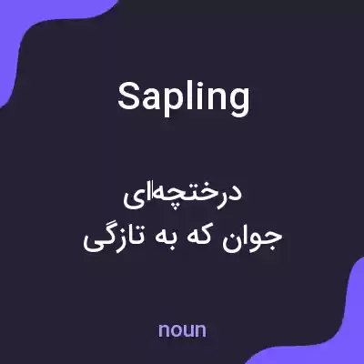 معنی sapling به فارسی معنی sapling به فارسی