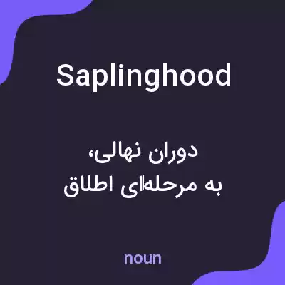 معنی saplinghood به فارسی معنی saplinghood به فارسی