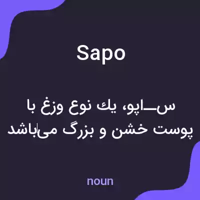 معنی sapo به فارسی معنی sapo به فارسی