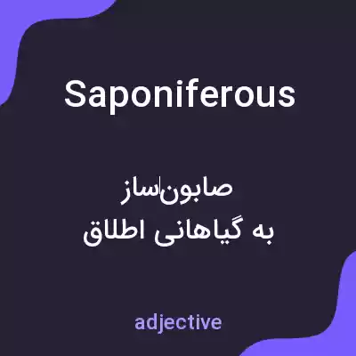 معنی saponiferous به فارسی معنی saponiferous به فارسی