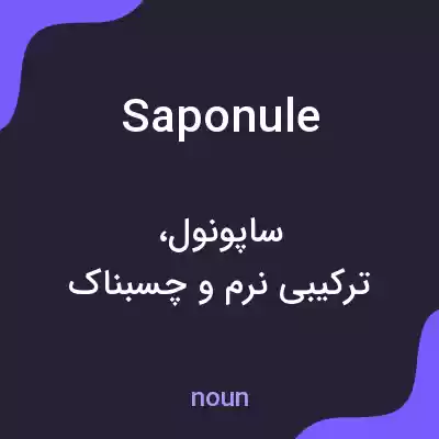 معنی saponule به فارسی معنی saponule به فارسی
