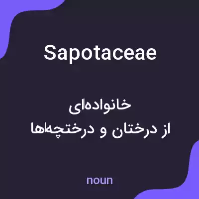 معنی sapotaceae به فارسی معنی sapotaceae به فارسی