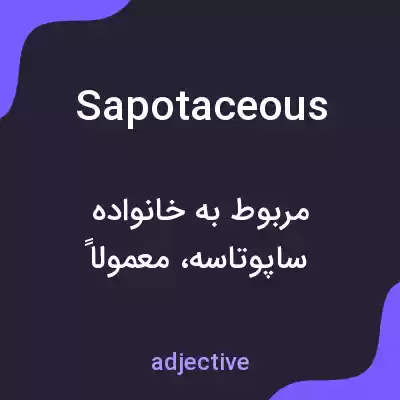 معنی sapotaceous به فارسی معنی sapotaceous به فارسی