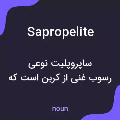 معنی sapropelite به فارسی معنی sapropelite به فارسی