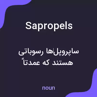 معنی sapropels به فارسی معنی sapropels به فارسی