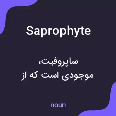معنی saprophyte به فارسی معنی saprophyte به فارسی