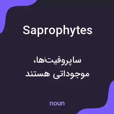 معنی saprophytes به فارسی معنی saprophytes به فارسی