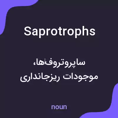 معنی saprotrophs به فارسی معنی saprotrophs به فارسی