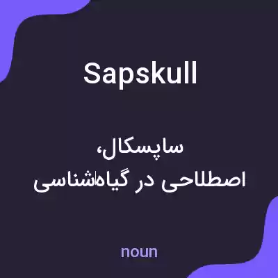 معنی sapskull به فارسی معنی sapskull به فارسی