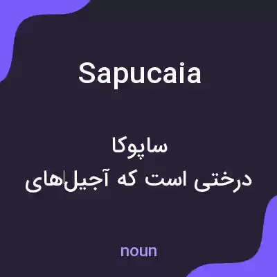 معنی sapucaia به فارسی معنی sapucaia به فارسی