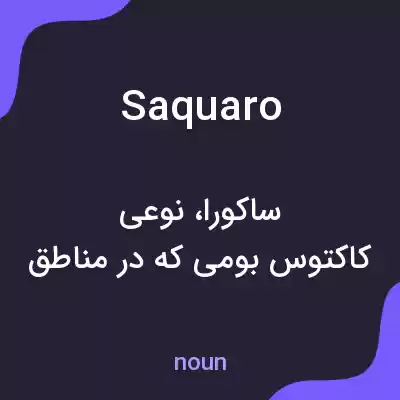 معنی saquaro به فارسی معنی saquaro به فارسی