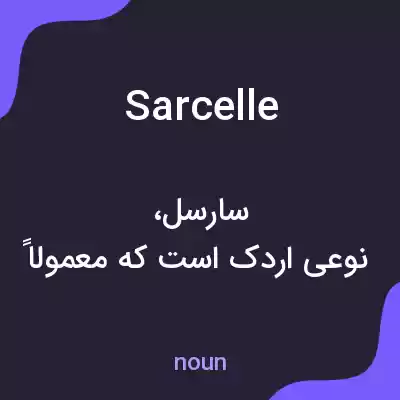 معنی sarcelle به فارسی معنی sarcelle به فارسی
