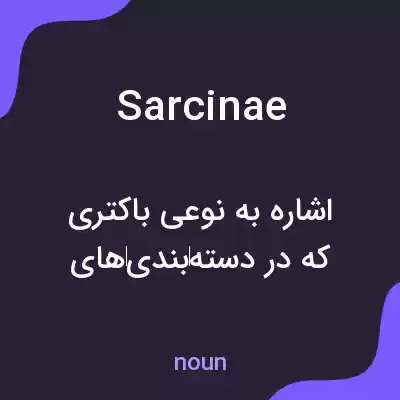 معنی sarcinae به فارسی معنی sarcinae به فارسی