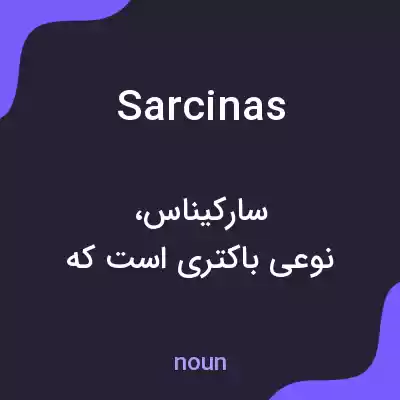 معنی sarcinas به فارسی معنی sarcinas به فارسی