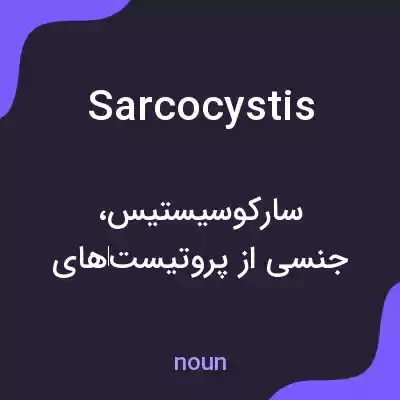 معنی sarcocystis به فارسی معنی sarcocystis به فارسی