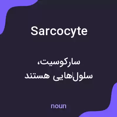 معنی sarcocyte به فارسی معنی sarcocyte به فارسی