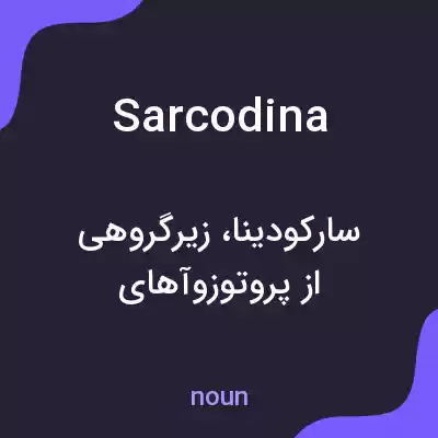 معنی sarcodina به فارسی معنی sarcodina به فارسی