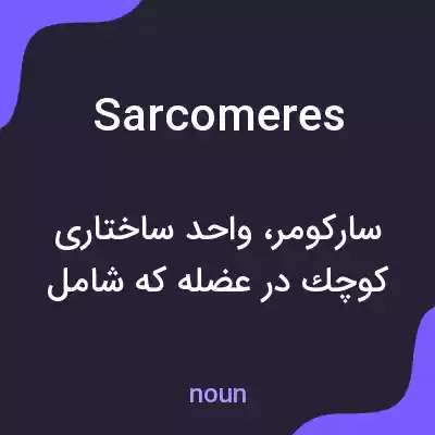 معنی sarcomeres به فارسی معنی sarcomeres به فارسی