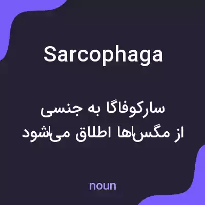 معنی sarcophaga به فارسی معنی sarcophaga به فارسی
