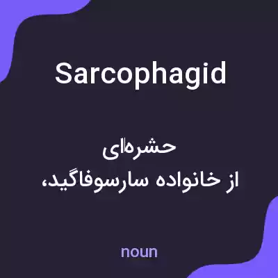 معنی sarcophagid به فارسی معنی sarcophagid به فارسی