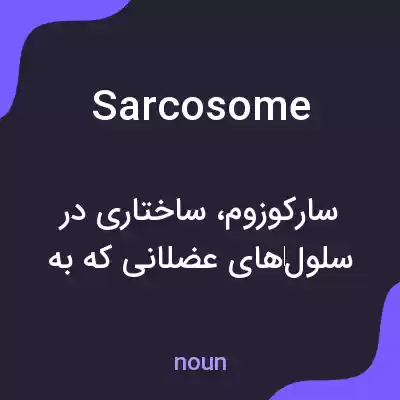 معنی sarcosome به فارسی معنی sarcosome به فارسی