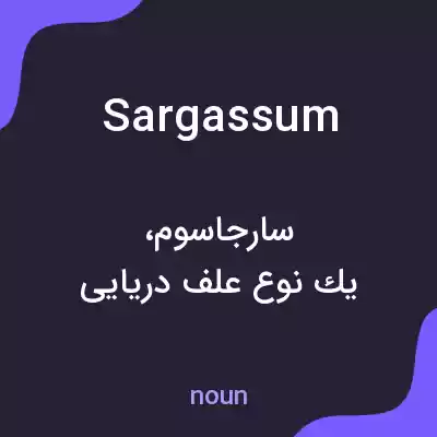 معنی sargassum به فارسی معنی sargassum به فارسی