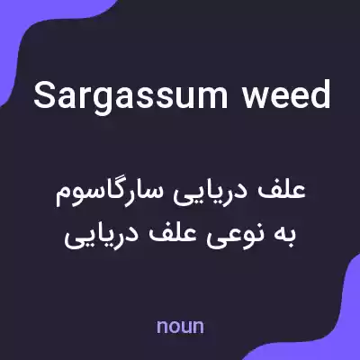معنی sargassum weed به فارسی معنی sargassum weed به فارسی