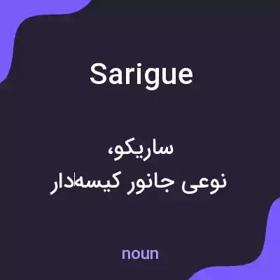 معنی sarigue به فارسی معنی sarigue به فارسی