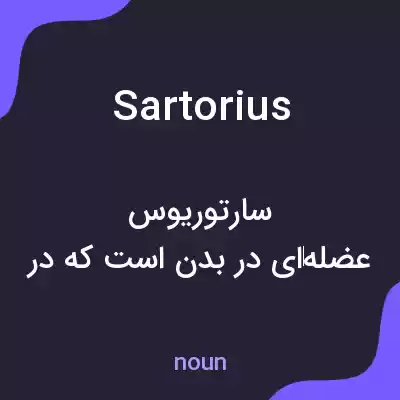 معنی sartorius به فارسی معنی sartorius به فارسی