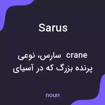 معنی sarus به فارسی معنی sarus به فارسی