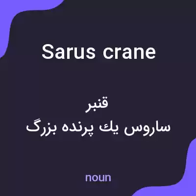معنی sarus crane به فارسی معنی sarus crane به فارسی