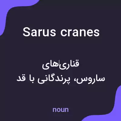 معنی sarus cranes به فارسی معنی sarus cranes به فارسی
