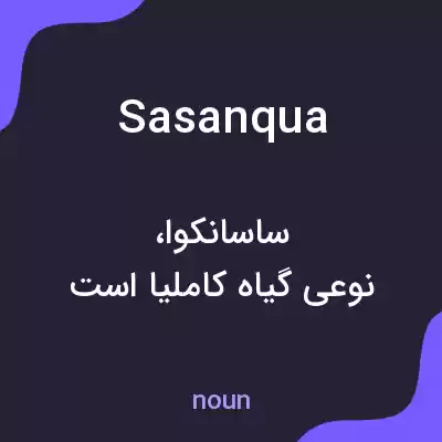 معنی sasanqua به فارسی معنی sasanqua به فارسی