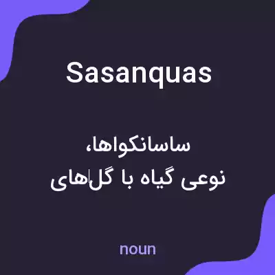 معنی sasanquas به فارسی معنی sasanquas به فارسی