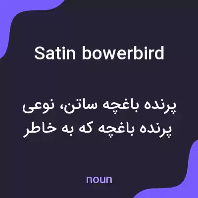 معنی satin bowerbird به فارسی معنی satin bowerbird به فارسی