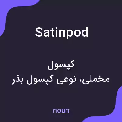 معنی satinpod به فارسی معنی satinpod به فارسی