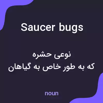 معنی saucer bugs به فارسی معنی saucer bugs به فارسی