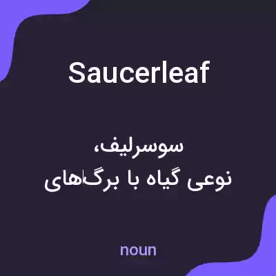معنی saucerleaf به فارسی معنی saucerleaf به فارسی