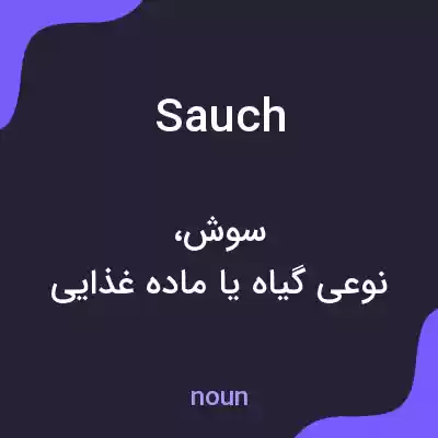 معنی sauch به فارسی معنی sauch به فارسی