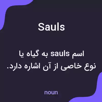 معنی sauls به فارسی معنی sauls به فارسی